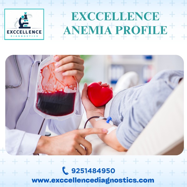 Exccellence Anemia Profile Package