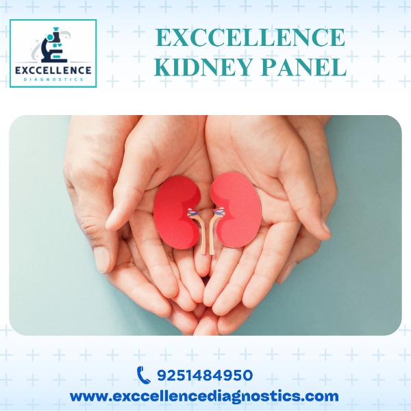 Exccellence Kidney Panel Package